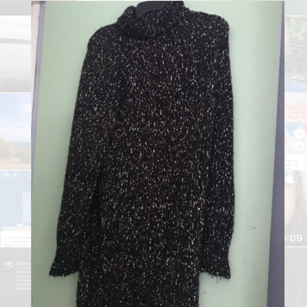 Zara Turtleneck Knit Dress